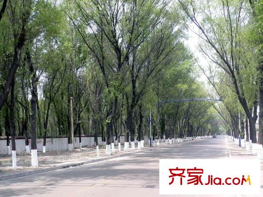 智誠御水灣配套圖小區(qū)東路