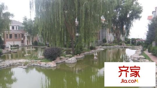龍觀天下外景圖 