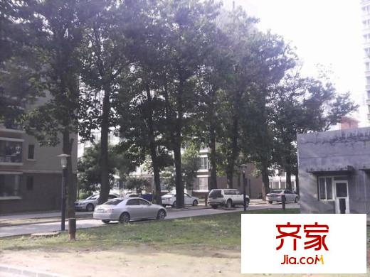 百桐園