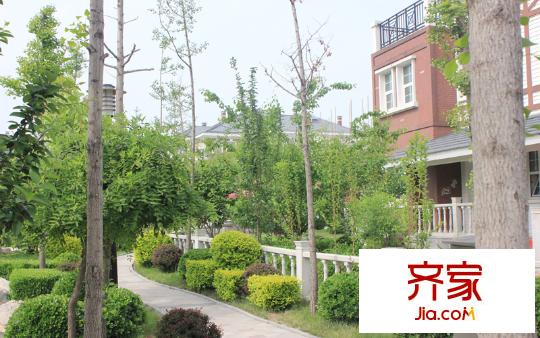 東龍壹灣二期別墅園林綠化實(shí)景（2014.5）