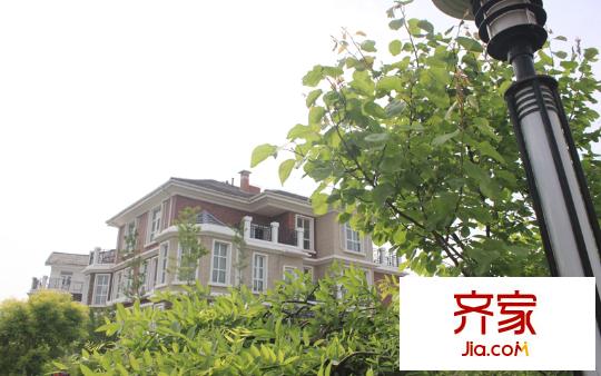 東龍壹灣二期別墅園林綠化實景（2014.5）