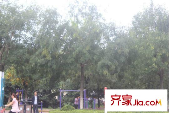 瑯琊臺家園周邊配套之社區(qū)廣場