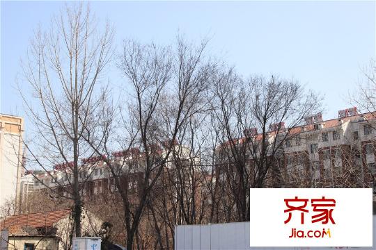瑯琊臺家園工程進展圖（2015-3-13）