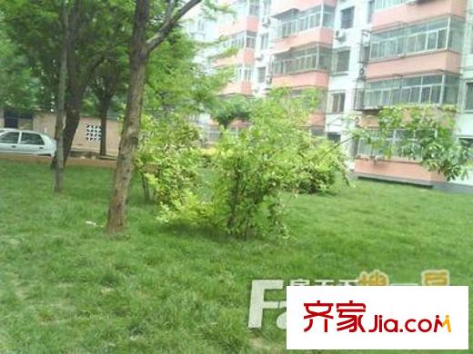 九一小學(xué)宿舍配套圖太原  周邊