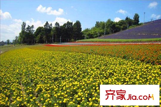 頤佳苑周邊配套之農(nóng)場(chǎng)