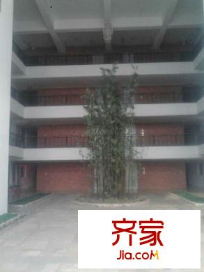東大盛世華庭外景圖 