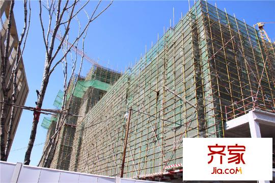 鼎峰中央公園(2015-3-8)