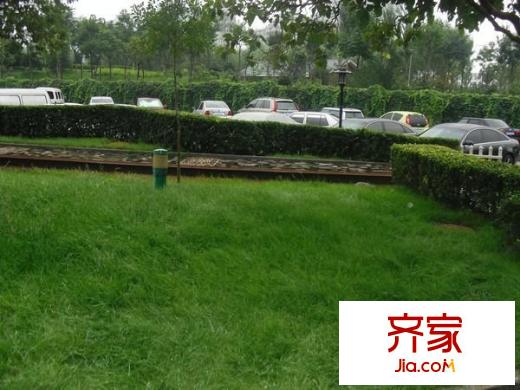 望景花園