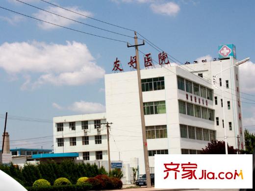 中國(guó)鐵建岸芷汀蘭周邊配套之友好醫(yī)院