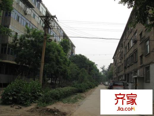 毛條廠宿舍外景圖 