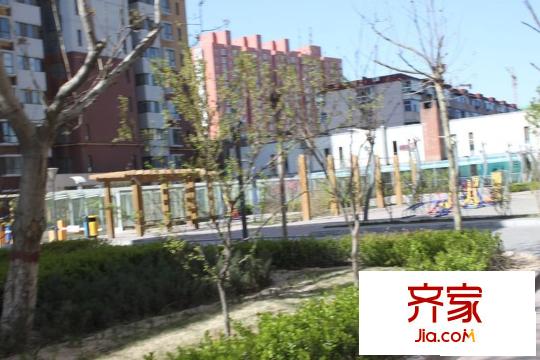 金林佳園外景圖:實景圖