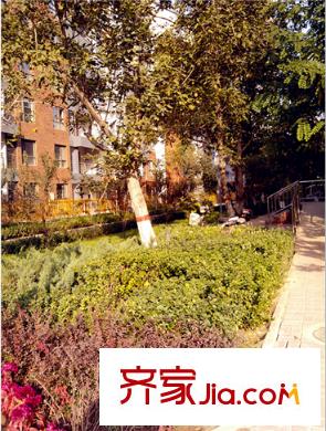 金林佳園配套圖 周邊配套