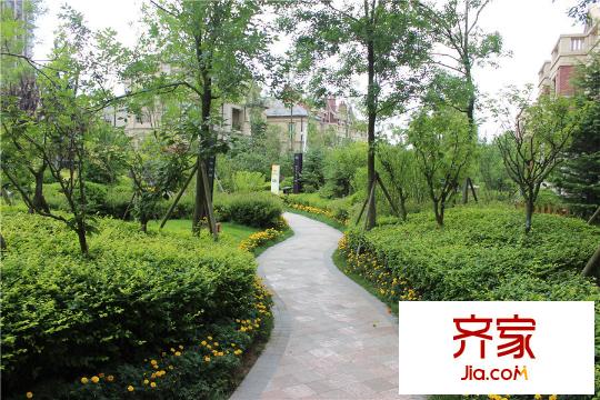 保利海上羅蘭園區(qū)（2015-7-20）