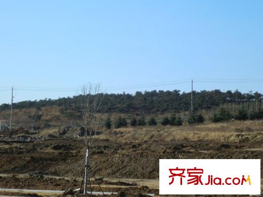 裕東新府盟旺山