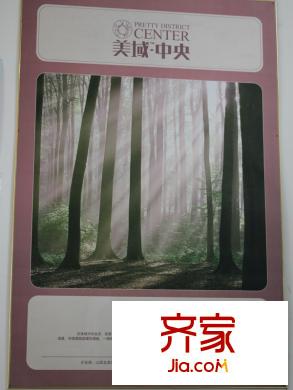 美域中央實(shí)景圖售樓部宣傳畫實(shí)景（2012.12.31）