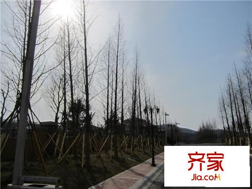 青建香根溫泉墅外景圖: