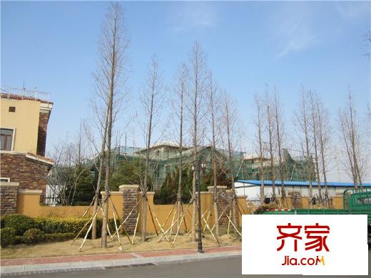 青建香根溫泉墅外景圖: