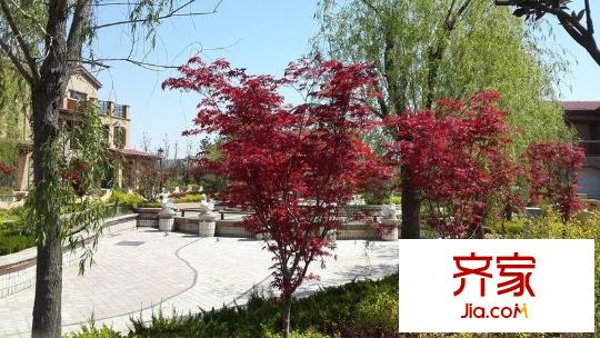 迪亞灣別墅外景圖 