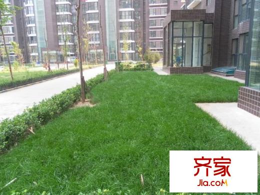 原上園外景圖 