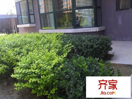 和泰花園外景圖 
