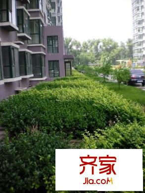 和泰花園