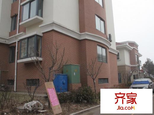 伯金漢花園（20130130）