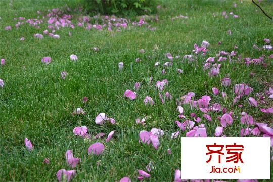 香溪玫瑰園項(xiàng)目實(shí)景