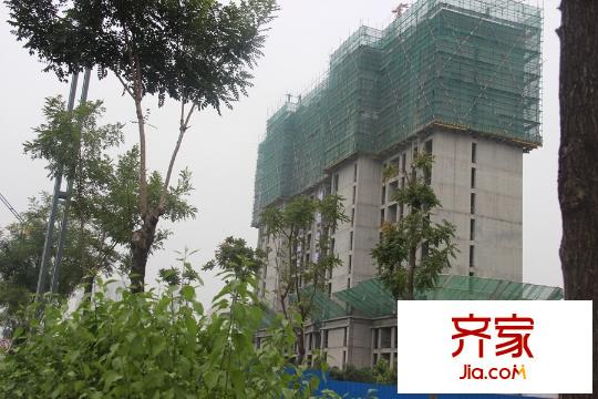 國雅城工程進度圖(2015-09-23)