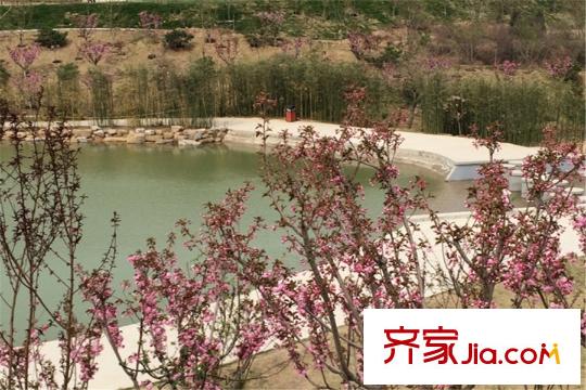 玉泉山?如意公館周邊玉泉山城郊森林公園