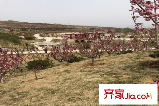 玉泉山?如意公館周邊玉泉山城郊森林公園