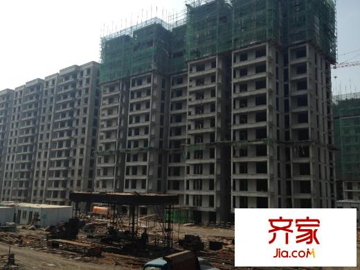 楓林四季工程實景（2014-07-04）