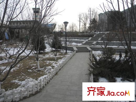 府東公園6棟南向20米-五龍公園