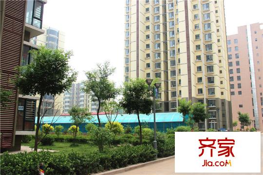 城南都市嘉園小區(qū)綠化（2015-05-28）