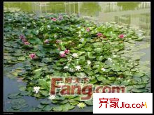 景鴻大廈向西50米 玉門河公園