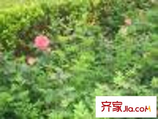 景鴻大廈向西50米 玉門河公園
