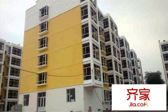 蘭源古槐工地（20150528）