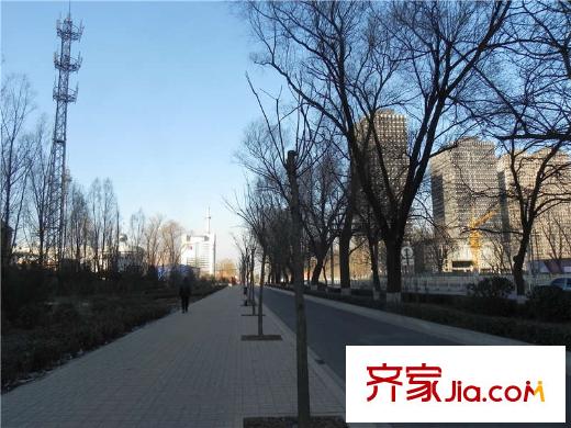 麗澤花苑周邊向東50米道路