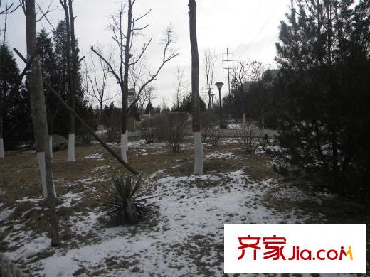 府東美奧花苑周邊-五龍公園