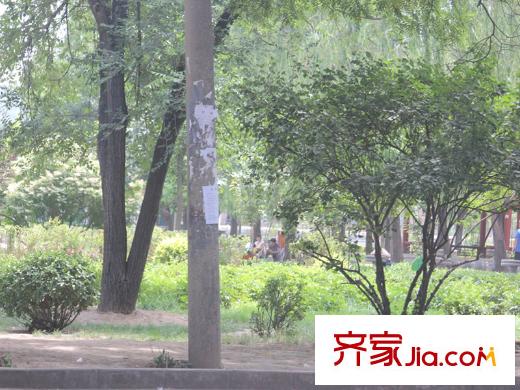 迎西城?朝南水岸和龍灣公園