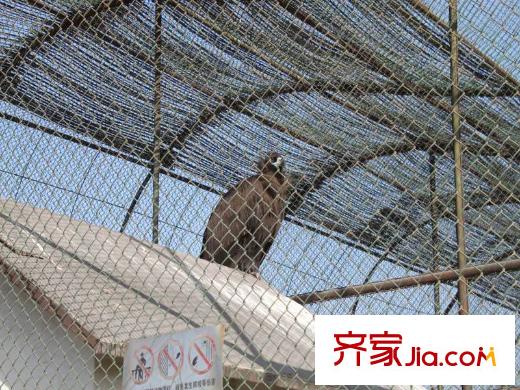星光大道5米2周邊配套 太原動物園