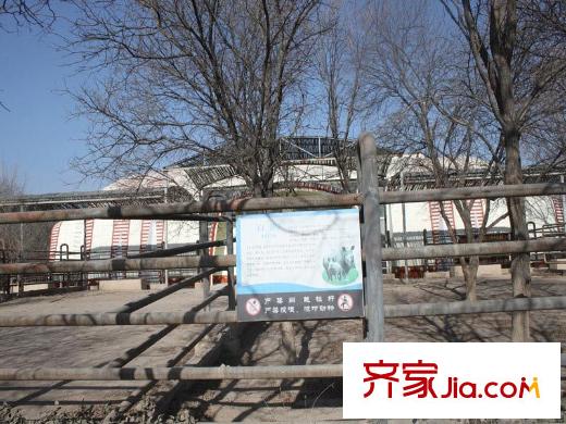 星光大道5米2周邊配套 太原動(dòng)物園