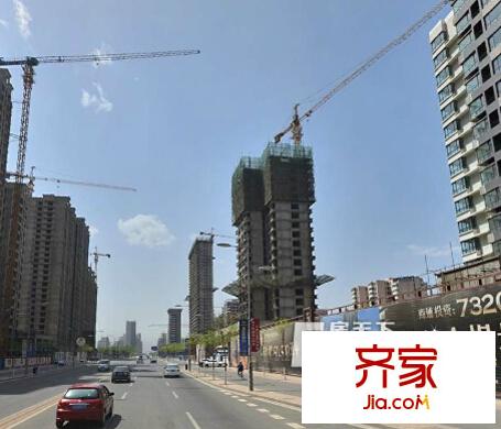 北美金棕櫚太原  