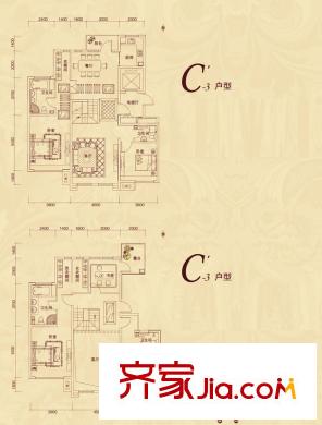 復(fù)地東山國際洋房C’3戶型 5室2廳3衛(wèi)2廚