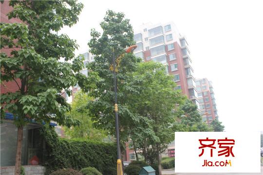 辰興文教城五期工地（2015.5.28）