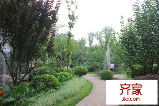 坤杰?拉菲公館園林實景（2015-7-6）