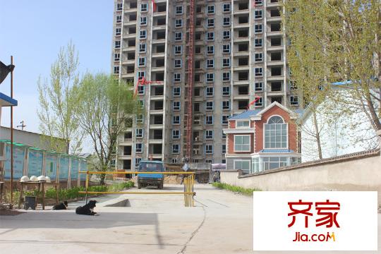 龍城金帝園（2015.04.16）