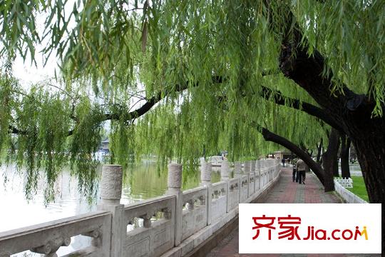 湖濱晉庭周邊配套迎澤公園