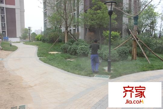東山雅居小區(qū)園林(2015-07-13)