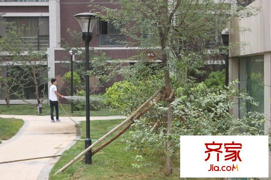 東山雅居小區(qū)園林(2015-07-13)