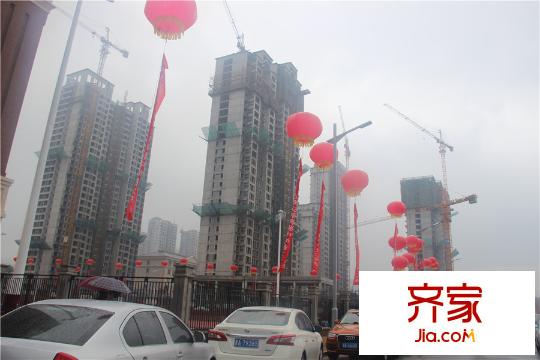 競杰?常青藤一期實景（2015-9-10）